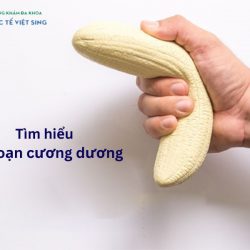 https://phongkhamdakhoaquoctevietsing.vn/wp-content/uploads/2024/08/roi-loan-cuong-duong-250x250.jpg